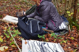 Artist working in Lady Park Wood