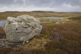 Flow Country peatland pools, ideal habitat for breeding and feeding Greenshank, Sutherland, Scotland