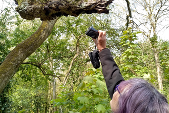 Petra photographing a tree