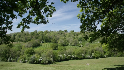 Springdale Farm valley