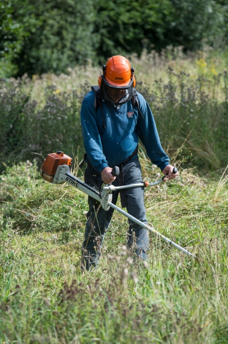 Man with Brushcutter