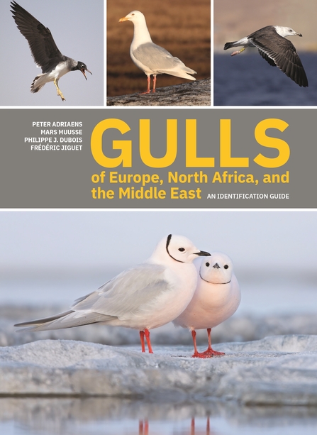 Cover of Gulls of Europe, North Africa and the Middle East.
