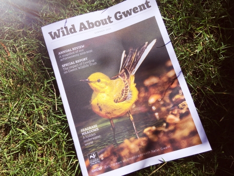 Gwent Wildlife Trust's membership magazine summer 2020