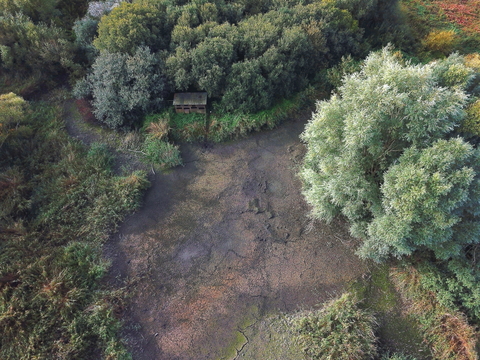 Dried up pond at Magor Marsh