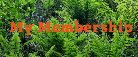 My Membership