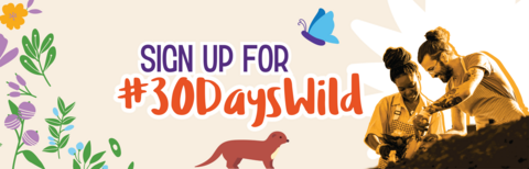 30 Days Wild sign up 
