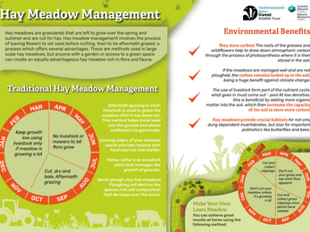 Hay Meadow Management 