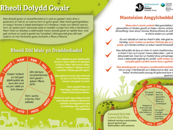 Rheoli Dolydd Gwair