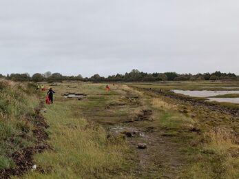 Foreshore Clean Up