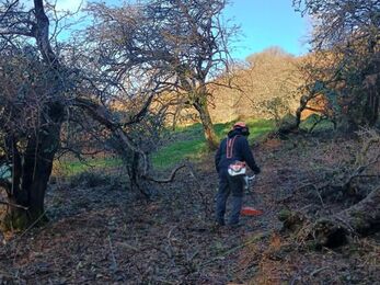 Brush Cutting Silent Valley