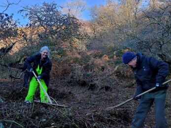 Raking Silent Valley