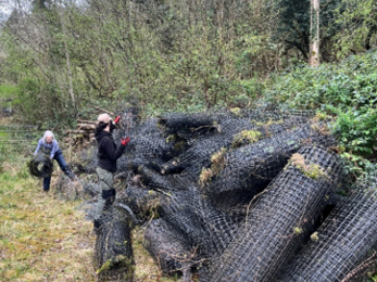 staff removing deer net 