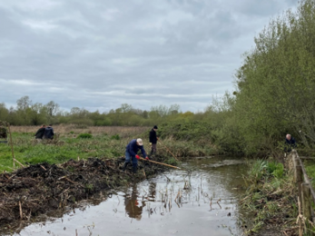 volunteers doing restoration work on the reserve 