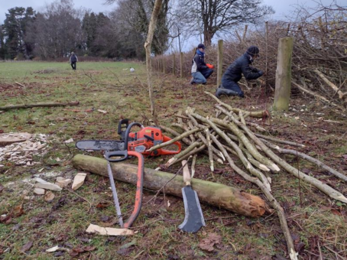 volunteers hedgelaying on the reserve 