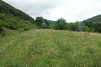 Dixton Embankment