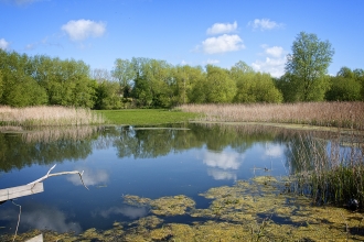 Magor Marsh and Barecroft Common