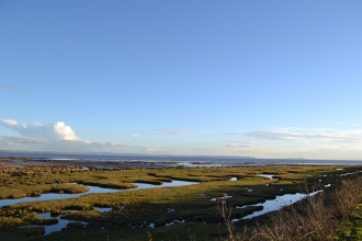 Peterstone Wentlooge Marshes l