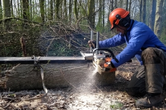 Chainsaw Training