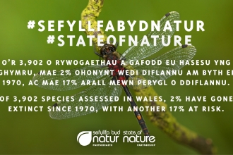 State of Nature Report 2019