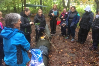 Forest School training at Tredegar park