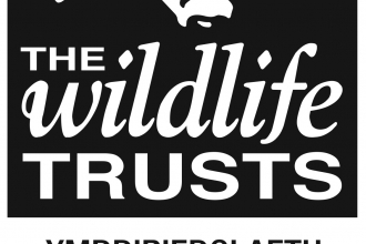 Gwent Wildlife Trust logo