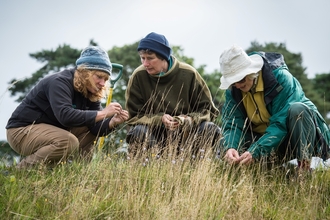 Habitat Survey in meadow by Matthew Roberts