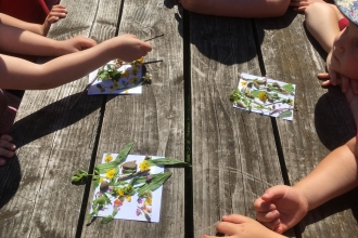 Children doing flower art