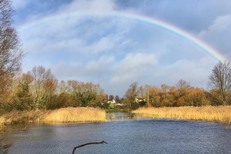 A rainbow over the pond at Gwent Wildlife Trust's Magor Marsh nature reserve