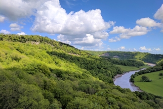 View over Piercefield Wood - Lowri Watkins