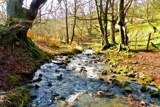 Silent Valley river