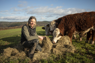 GWT staff with Hereford cattle
