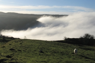 Uplands Landscape by Jane Corey
