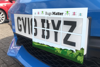 A Bugs Matter grid on a car number plate