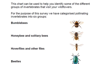 Pollinator ID