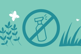 How to make your garden a chemical-free zone