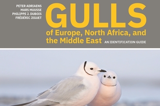 Cover of Gulls of Europe, North Africa and the Middle East.