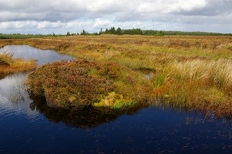 Peatland in Northumberland. Bell Crag Flow, part of the Border Mire