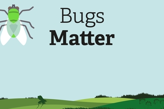 Bugs Matter