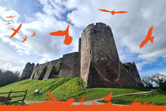 Castle Creatures Chepstow Castle