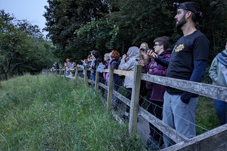 Bat walk group