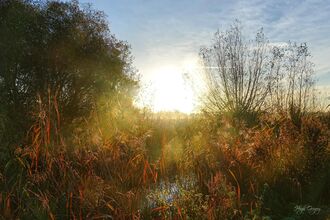 Sun rising over reen at Magor Marsh by Hugh Gregory
