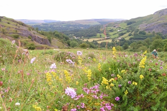 welsh farming