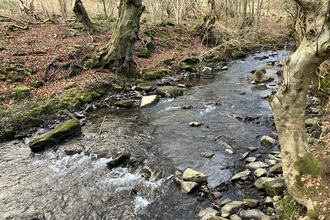 Ebbw Fach Abertillery Park