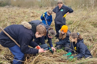 Harvest Mouse Survey Training