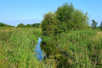 Bridewell Common Reen