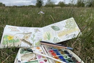 Nature Journaling