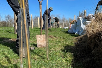 Wyeswood hedge planting