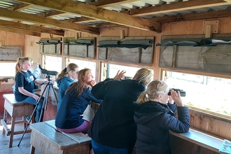 Birdwatching at Newport Wetlands