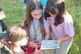 Butterfly Survey