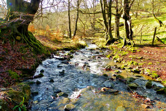 Autumn Silent Valley landscape stream